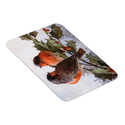 Catherine Klein: Robins über Holly Magnet (Rechte Seite)