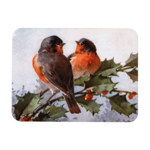 Catherine Klein: Robins über Holly Magnet