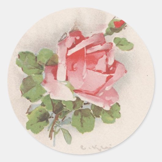 Catherine Kleins rosa Rose Runder Aufkleber (Vorderseite)