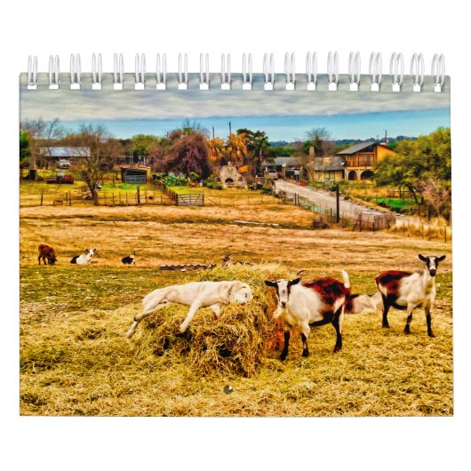 Cathy P. Jones 2019 Kalender (Titelbild)