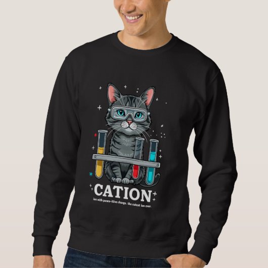 Cation Cat Chemist Funny Science Meme Cats Chemist Sweatshirt (Vorderseite)