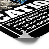 Cation Chemistry Spaß Science Teacher Cat Pun Cat  Poster (Ecke)