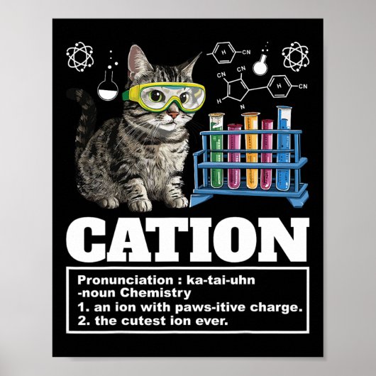 Cation Chemistry Spaß Science Teacher Cat Pun Cat  Poster (Vorne)