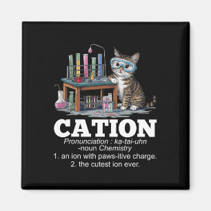 Cation Chemistry Spaß Science Teacher Cat Pun Fun Magnet