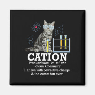 Cation - Funny Chemistry Spaß Science Teacher Cat Magnet