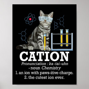 Cation - Funny Chemistry Spaß Science Teacher Cat Poster
