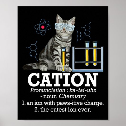 Cation - Funny Chemistry Spaß Science Teacher Cat Poster (Vorne)