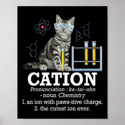 Cation - Funny Chemistry Spaß Science Teacher Cat Poster (Vorne)