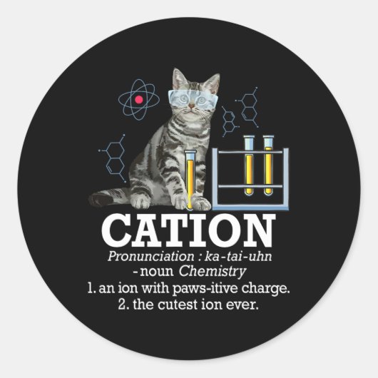 Cation - Funny Chemistry Spaß Science Teacher Cat Runder Aufkleber (Vorderseite)