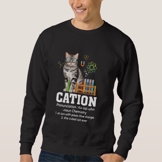 Cation Science Lover Teacher Nerd Funny Cat Chemis Sweatshirt (Vorderseite)