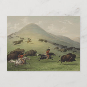 Catlin Native American Art Postkarte