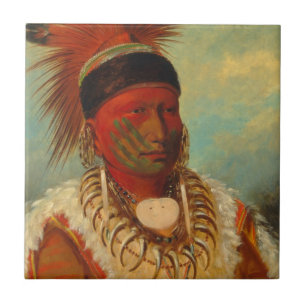 Catlin - The White Cloud, Head of the Iowas Fliese