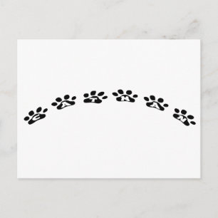 Catman Postkarte