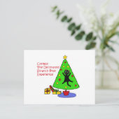 Catmas Experience Postkarte (Stehend Vorderseite)