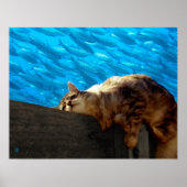 Catnap Fishing Poster (Vorne)
