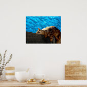 Catnap Fishing Poster (Küche)