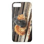 Catnap-Süssen Case-Mate iPhone Hülle (Rückseite)