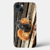 Catnap-Süssen Case-Mate iPhone Hülle (Rückseite)