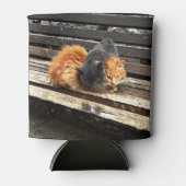 Catnap-Süssen Dosenkühler (Vorderseite)