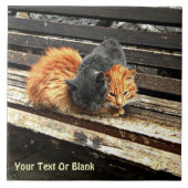 Catnap-Süssen Fliese (Vorderseite)