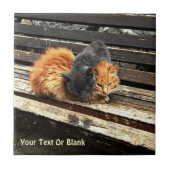 Catnap-Süssen Fliese (Vorderseite)