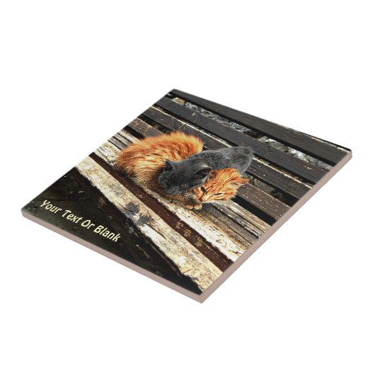 Catnap-Süssen Fliese (Seite)