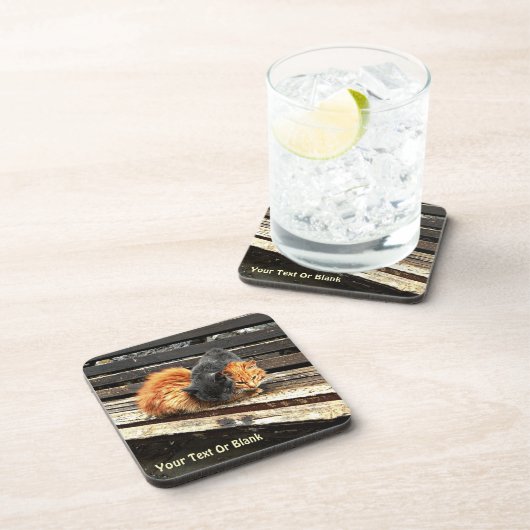 Catnap-Süssen Getränkeuntersetzer (Rechte Seite)