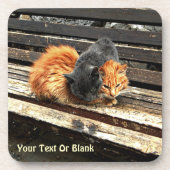 Catnap-Süssen Getränkeuntersetzer (Vorderseite)