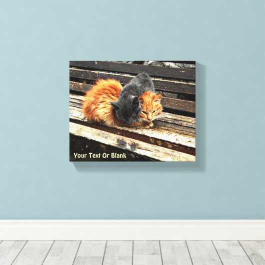 Catnap-Süssen Leinwanddruck (Insitu (Holzboden))