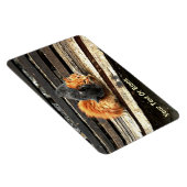 Catnap-Süssen Magnet (Rechte Seite)