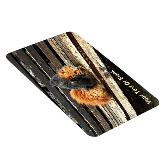 Catnap-Süssen Magnet (Rechte Seite)