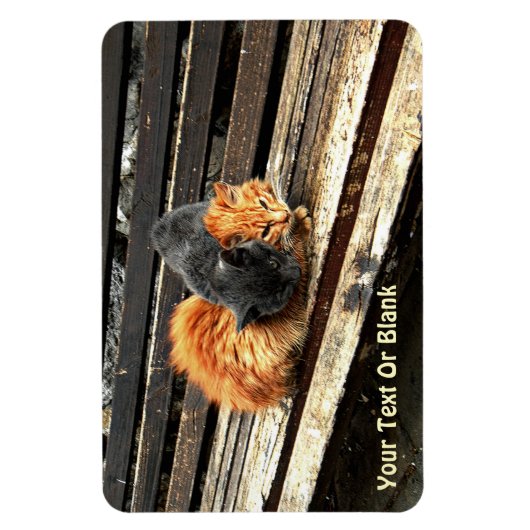 Catnap-Süssen Magnet (Vertikal)