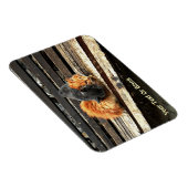 Catnap-Süssen Magnet (Rechte Seite)