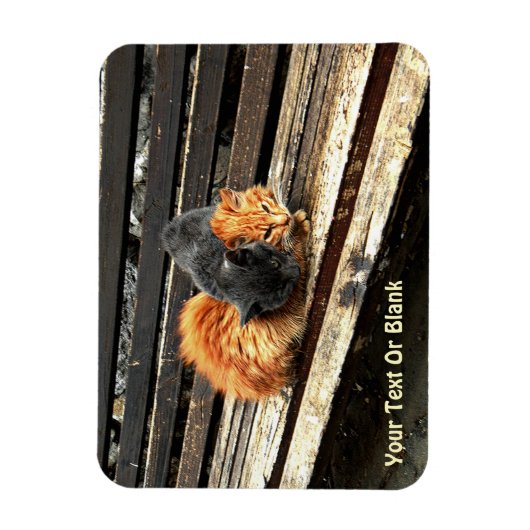 Catnap-Süssen Magnet (Vertikal)