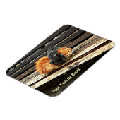 Catnap-Süssen Magnet (Linke Seite)