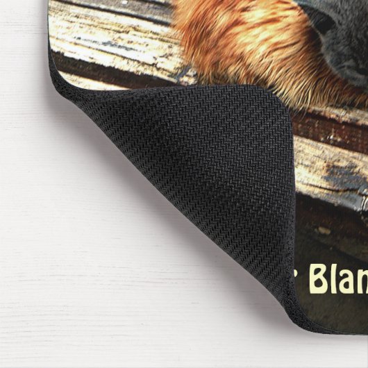 Catnap-Süssen Mousepad (Ecke)