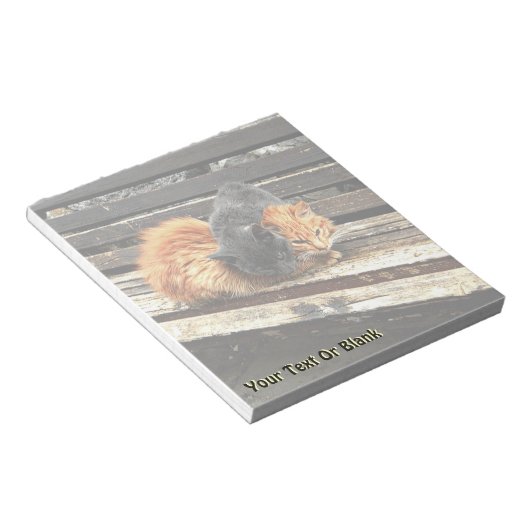 Catnap-Süssen Notizblock (angewinkelt)