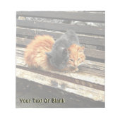 Catnap-Süssen Notizblock (Vorderseite)