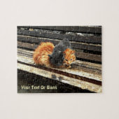 Catnap-Süssen Puzzle (Horizontal)