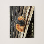 Catnap-Süssen Puzzle (Vertikal)