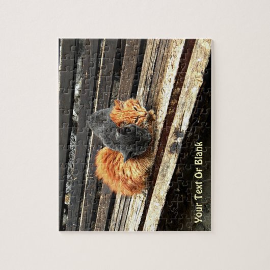 Catnap-Süssen Puzzle (Vertikal)