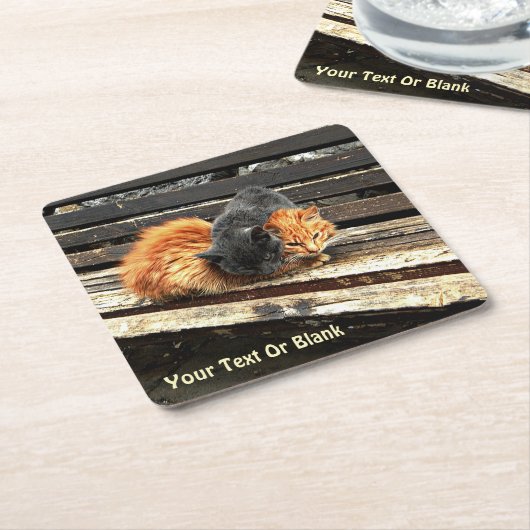 Catnap-Süssen Rechteckiger Pappuntersetzer (angewinkelt)