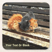 Catnap-Süssen Rechteckiger Pappuntersetzer (Vorderseite)