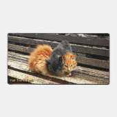 Catnap-Süssen Schreibtischunterlage (Vorderseite)