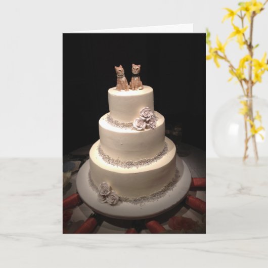 Catnip Karte (Gelbe Blume)