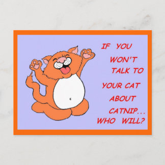 Catnip Kitty Postcard Postkarte