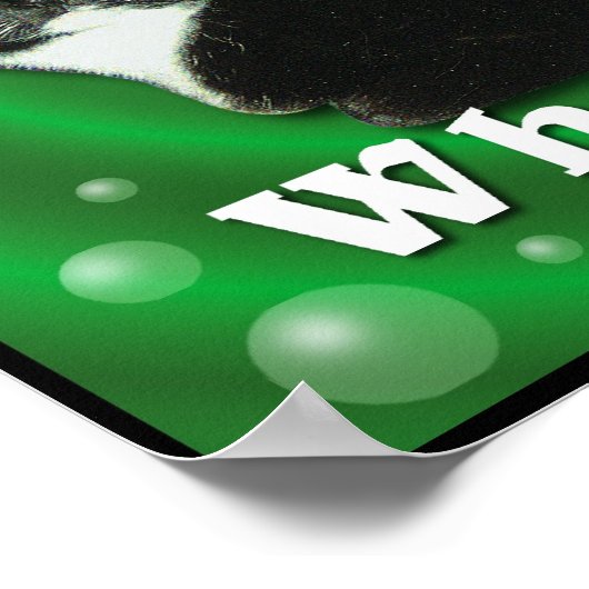 Catnip Kitty Poster (Ecke)