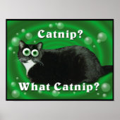 Catnip Kitty Poster (Vorne)