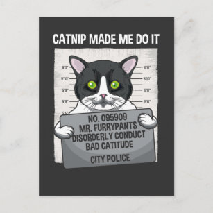 Catnip ließ mich machen, dass es lustige Katze fes Postkarte