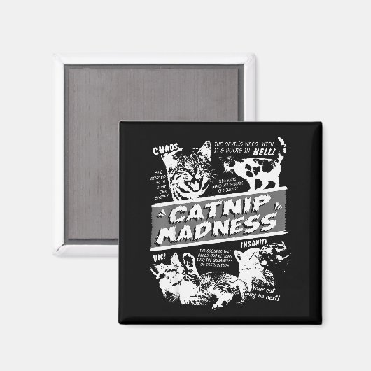 Catnip Madness Cute Kitten Funny Cat Pet Humor Magnet (Vorderseite/Rückseite)